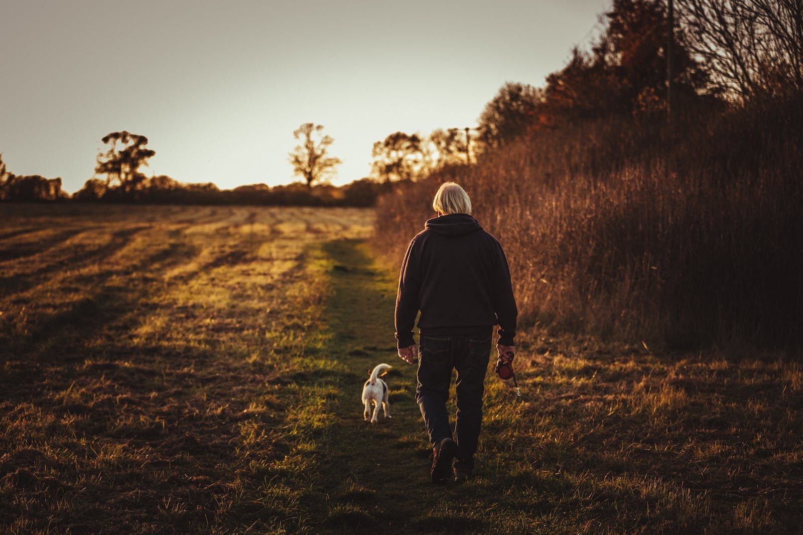 Een man laat een hondje uit zonder riem