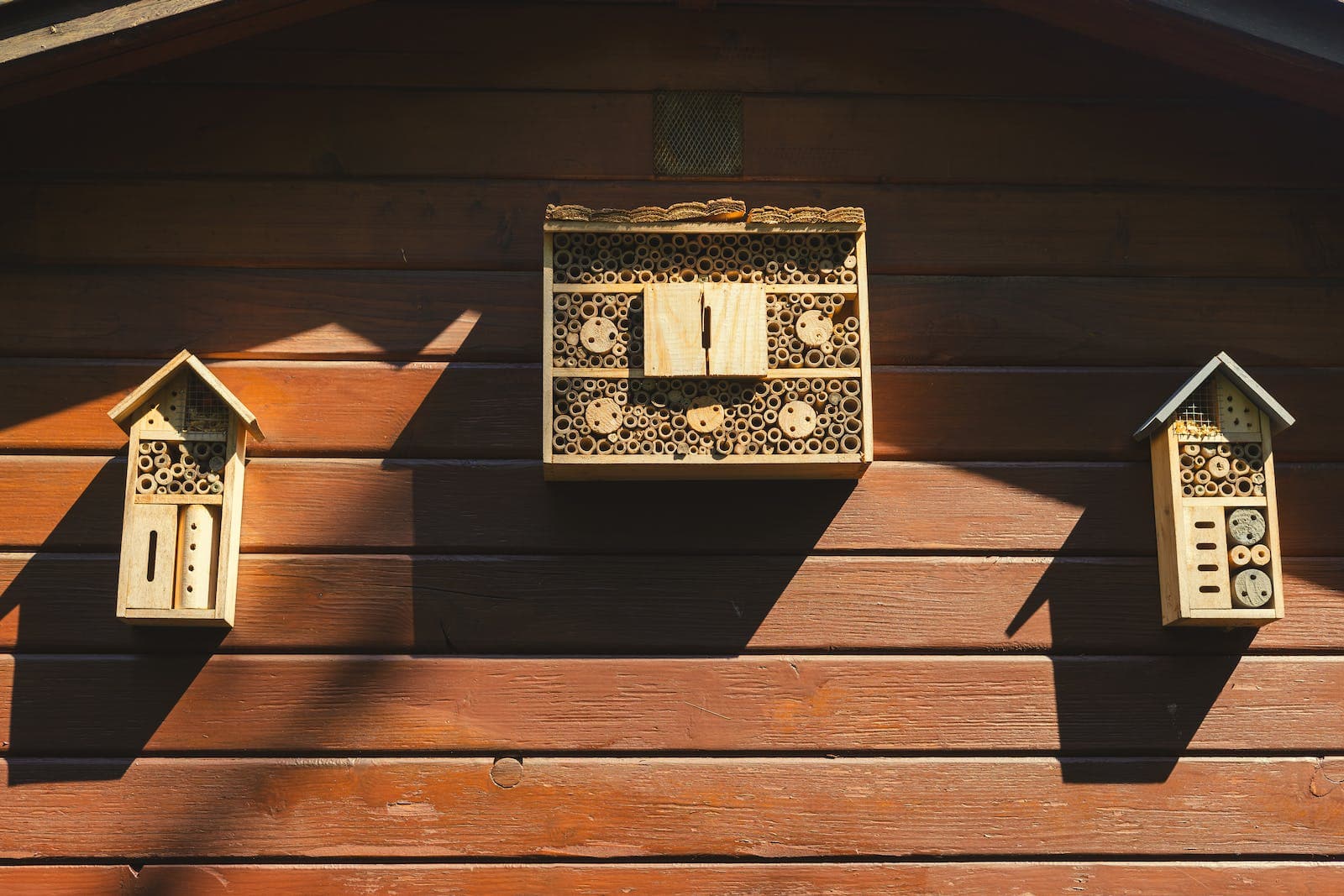Houten insectenhotels naast elkaar aan een schuur gehangen